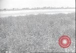 Image of Amelia Earhart Putnam United States USA, 1937, second 3 stock footage video 65675063644