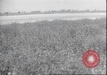 Image of Amelia Earhart Putnam United States USA, 1937, second 4 stock footage video 65675063644
