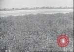 Image of Amelia Earhart Putnam United States USA, 1937, second 5 stock footage video 65675063644