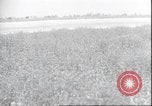 Image of Amelia Earhart Putnam United States USA, 1937, second 6 stock footage video 65675063644
