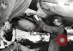 Image aviateurs allemands Allemagne, 1939, de la seconde 21 séquences d'archives historiques vidéo 65675063664