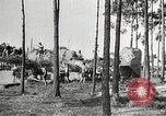 Image aviateurs allemands Allemagne, 1939, de la seconde 29 séquences d'archives historiques vidéo 65675063664