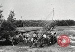 Image aviateurs allemands Allemagne, 1939, de la seconde 31 séquences d'archives historiques vidéo 65675063664