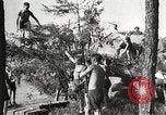 Image aviateurs allemands Allemagne, 1939, de la seconde 37 séquences d'archives historiques vidéo 65675063664