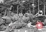 Image aviateurs allemands Allemagne, 1939, de la seconde 42 séquences d'archives historiques vidéo 65675063664