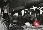 Image aviateurs allemands Allemagne, 1939, de la seconde 61 séquences d'archives historiques vidéo 65675063664