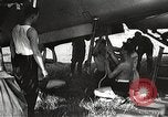 Image aviateurs allemands Allemagne, 1939, de la seconde 62 séquences d'archives historiques vidéo 65675063664