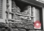 Immagine di I soldati tedeschi Gdynia Polonia, 1939, secondo 15 filmato di repertorio 65675063669