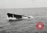 Image of German sailors European Theater, 1939, second 10 stock footage video 65675063681
