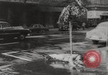 Image of instant dry cleaning Hungary, 1960, second 11 stock footage video 65675063688