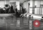 Image of instant dry cleaning Hungary, 1960, second 28 stock footage video 65675063688