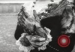Image of Congress legislator's wives Washington DC USA, 1960, second 48 stock footage video 65675063689