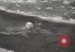 Image russes la Russie, 1960, de la seconde 27 séquences d'archives historiques vidéo 65675063690