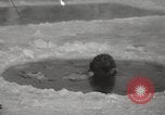 Image russes la Russie, 1960, de la seconde 44 séquences d'archives historiques vidéo 65675063690