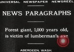 Image of Lumberman Aberdeen Washington USA, 1929, second 3 stock footage video 65675063699