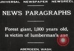 Image of Lumberman Aberdeen Washington USA, 1929, second 8 stock footage video 65675063699