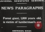 Image of Lumberman Aberdeen Washington USA, 1929, second 9 stock footage video 65675063699
