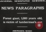 Image of Lumberman Aberdeen Washington USA, 1929, second 11 stock footage video 65675063699