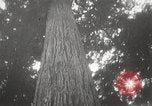 Image of Lumberman Aberdeen Washington USA, 1929, second 33 stock footage video 65675063699