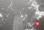 Image of Lumberman Aberdeen Washington USA, 1929, second 35 stock footage video 65675063699