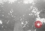 Image of Lumberman Aberdeen Washington USA, 1929, second 36 stock footage video 65675063699