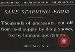 Image of nye of pheasants Buffalo New York USA, 1929, second 6 stock footage video 65675063700