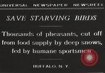 Image of nye of pheasants Buffalo New York USA, 1929, second 9 stock footage video 65675063700