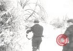 Image of nye of pheasants Buffalo New York USA, 1929, second 14 stock footage video 65675063700