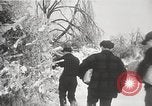 Image of nye of pheasants Buffalo New York USA, 1929, second 15 stock footage video 65675063700