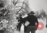 Image of nye of pheasants Buffalo New York USA, 1929, second 16 stock footage video 65675063700