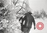 Image of nye of pheasants Buffalo New York USA, 1929, second 18 stock footage video 65675063700