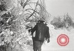 Image of nye of pheasants Buffalo New York USA, 1929, second 19 stock footage video 65675063700