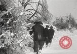 Image of nye of pheasants Buffalo New York USA, 1929, second 20 stock footage video 65675063700