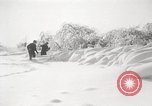 Image of nye of pheasants Buffalo New York USA, 1929, second 23 stock footage video 65675063700