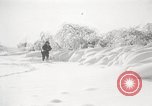 Image of nye of pheasants Buffalo New York USA, 1929, second 24 stock footage video 65675063700
