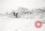 Image of nye of pheasants Buffalo New York USA, 1929, second 25 stock footage video 65675063700