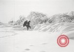 Image of nye of pheasants Buffalo New York USA, 1929, second 26 stock footage video 65675063700