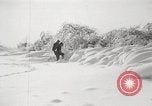 Image of nye of pheasants Buffalo New York USA, 1929, second 27 stock footage video 65675063700