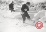 Image of nye of pheasants Buffalo New York USA, 1929, second 28 stock footage video 65675063700