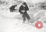 Image of nye of pheasants Buffalo New York USA, 1929, second 29 stock footage video 65675063700