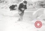 Image of nye of pheasants Buffalo New York USA, 1929, second 30 stock footage video 65675063700