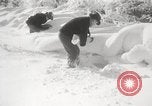 Image of nye of pheasants Buffalo New York USA, 1929, second 31 stock footage video 65675063700