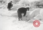 Image of nye of pheasants Buffalo New York USA, 1929, second 33 stock footage video 65675063700