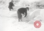 Image of nye of pheasants Buffalo New York USA, 1929, second 34 stock footage video 65675063700