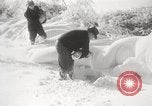 Image of nye of pheasants Buffalo New York USA, 1929, second 36 stock footage video 65675063700