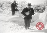 Image of nye of pheasants Buffalo New York USA, 1929, second 39 stock footage video 65675063700