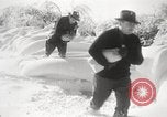 Image of nye of pheasants Buffalo New York USA, 1929, second 40 stock footage video 65675063700