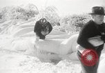 Image of nye of pheasants Buffalo New York USA, 1929, second 41 stock footage video 65675063700