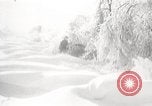 Image of nye of pheasants Buffalo New York USA, 1929, second 42 stock footage video 65675063700