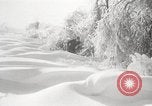 Image of nye of pheasants Buffalo New York USA, 1929, second 44 stock footage video 65675063700